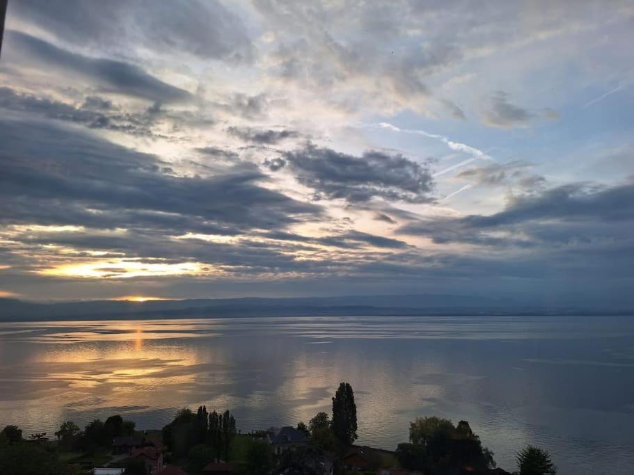 Appartement Avec Vue 180 Sur Le Lac Leman 托农莱班 外观 照片